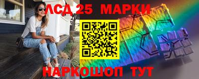 гидропоника Аша