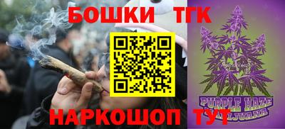 гидропоника Аша