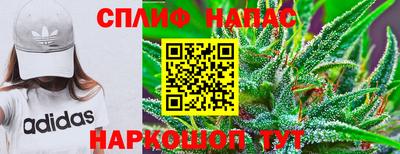 прущие грибы Ачхой-Мартан