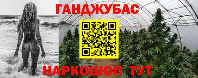 прущие грибы Ачхой-Мартан