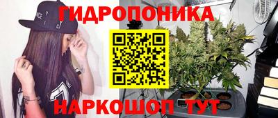 гидропоника Аша