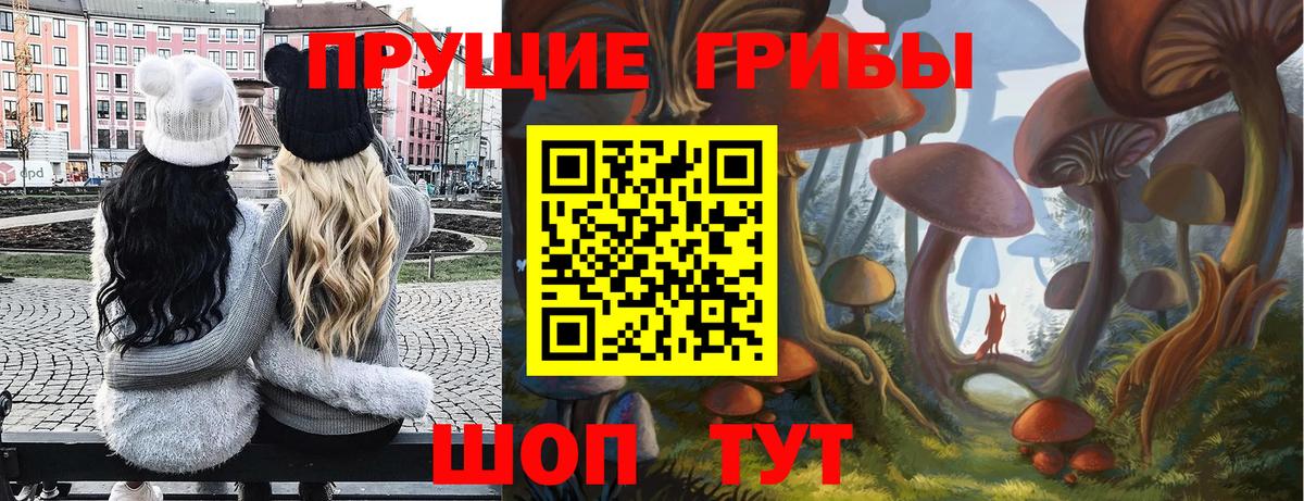Галлюциногенные грибы мицелий  Вход с VPN  Добрянка 